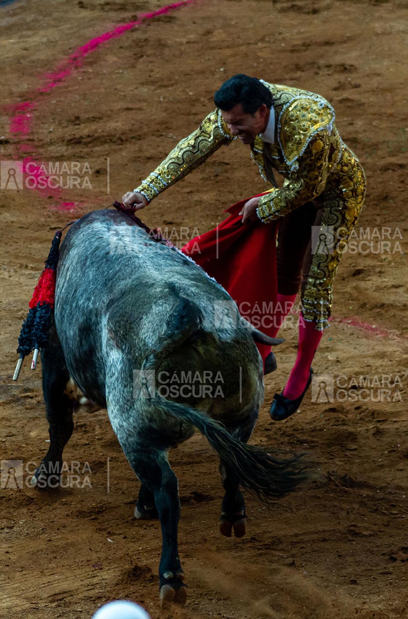211102_toros_jeronimo_aca-01w