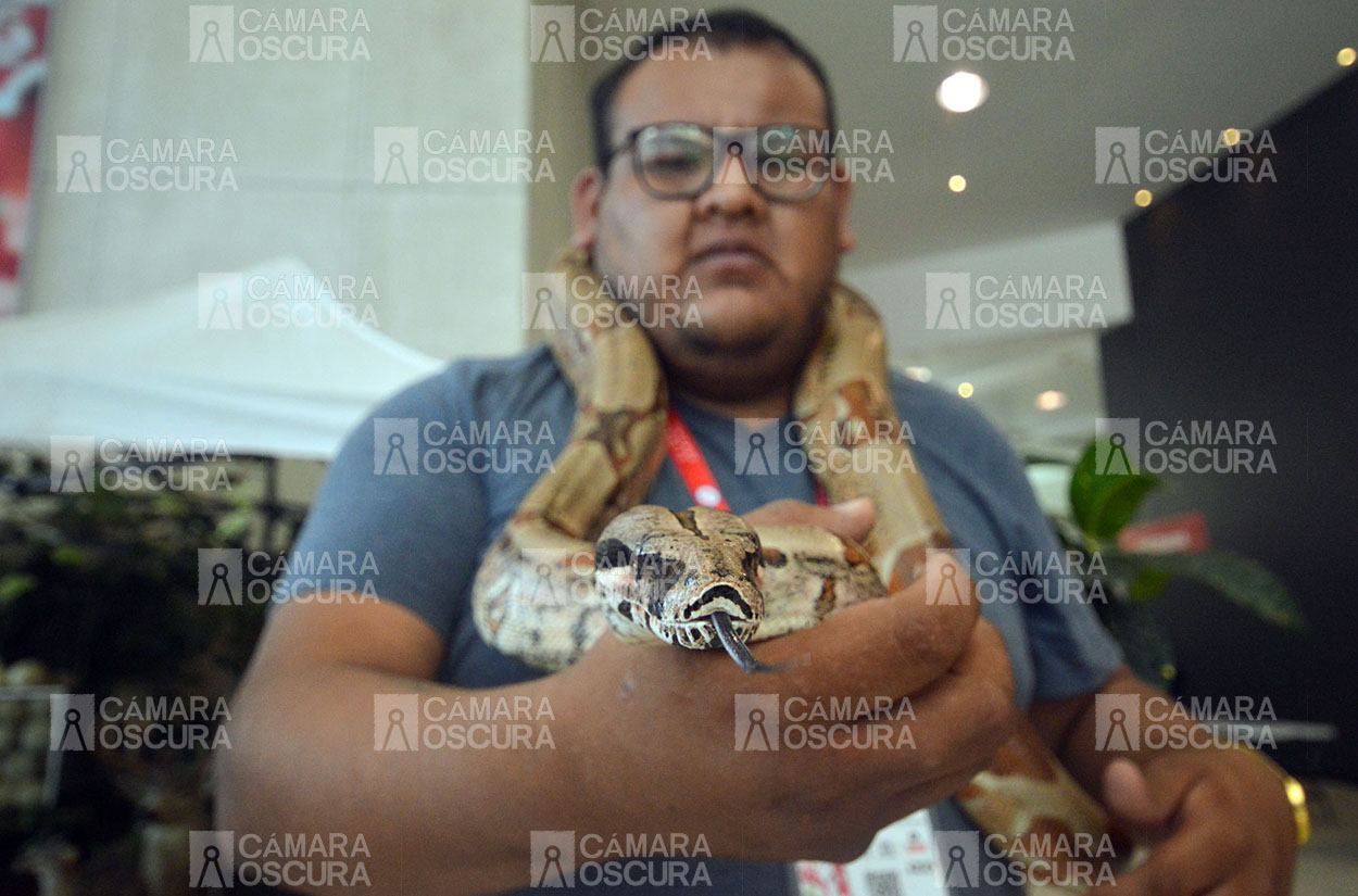 Inauguración Gran Feria Tlaxcala 2022